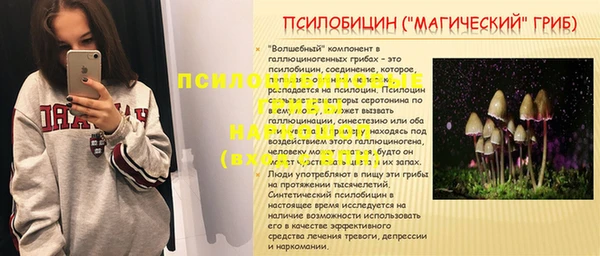 apvp Вязьма