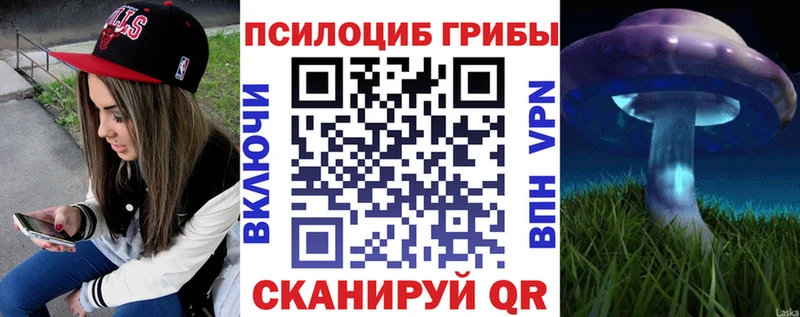 Псилоцибиновые грибы Magic Shrooms  omg ссылка  Томилино 